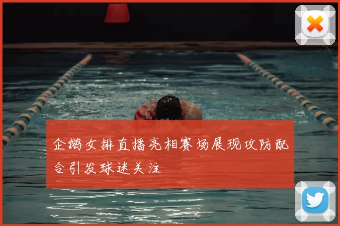 企鹅女排直播亮相赛场展现攻防配合引发球迷关注