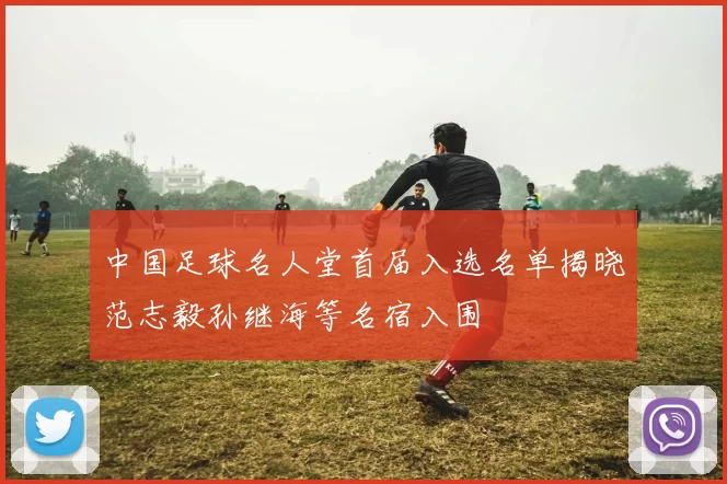 中国足球名人堂首届入选名单揭晓范志毅孙继海等名宿入围