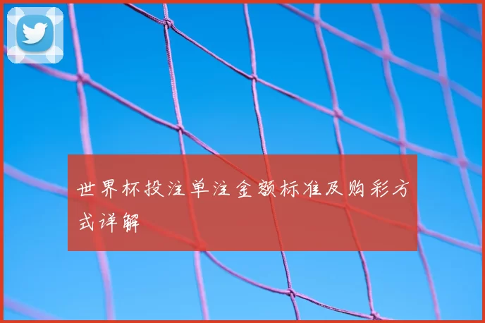 世界杯投注单注金额标准及购彩方式详解
