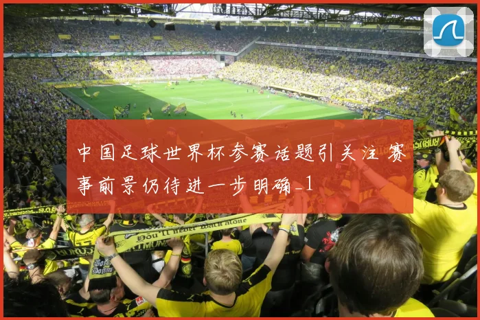 中国足球世界杯参赛话题引关注 赛事前景仍待进一步明确_1